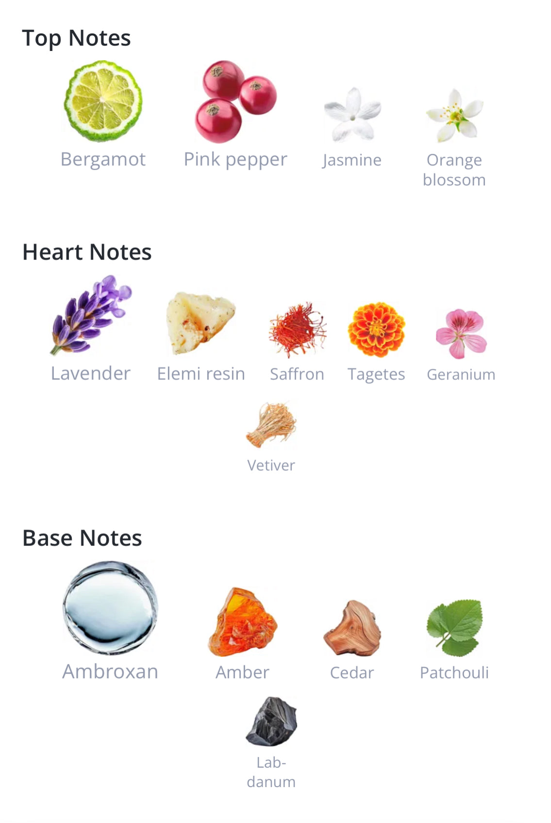 Club De Nuit Urban Man Elixir - Armaf- 1ml Decant Spray Sample