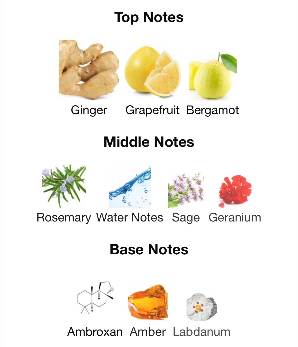 Jean Lowe Immortel/Immortal - Maison Alhambra - 1ml Decant Spray Sample