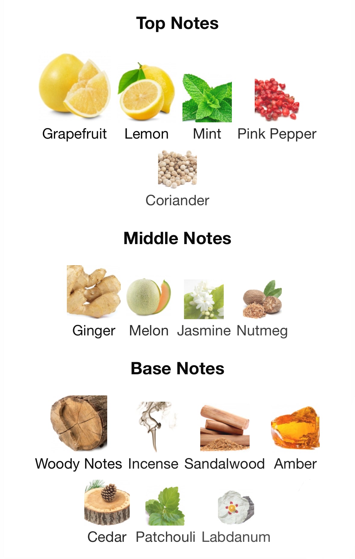 Club De Nuit Iconic - Armaf - 1ml Decant Spray Sample