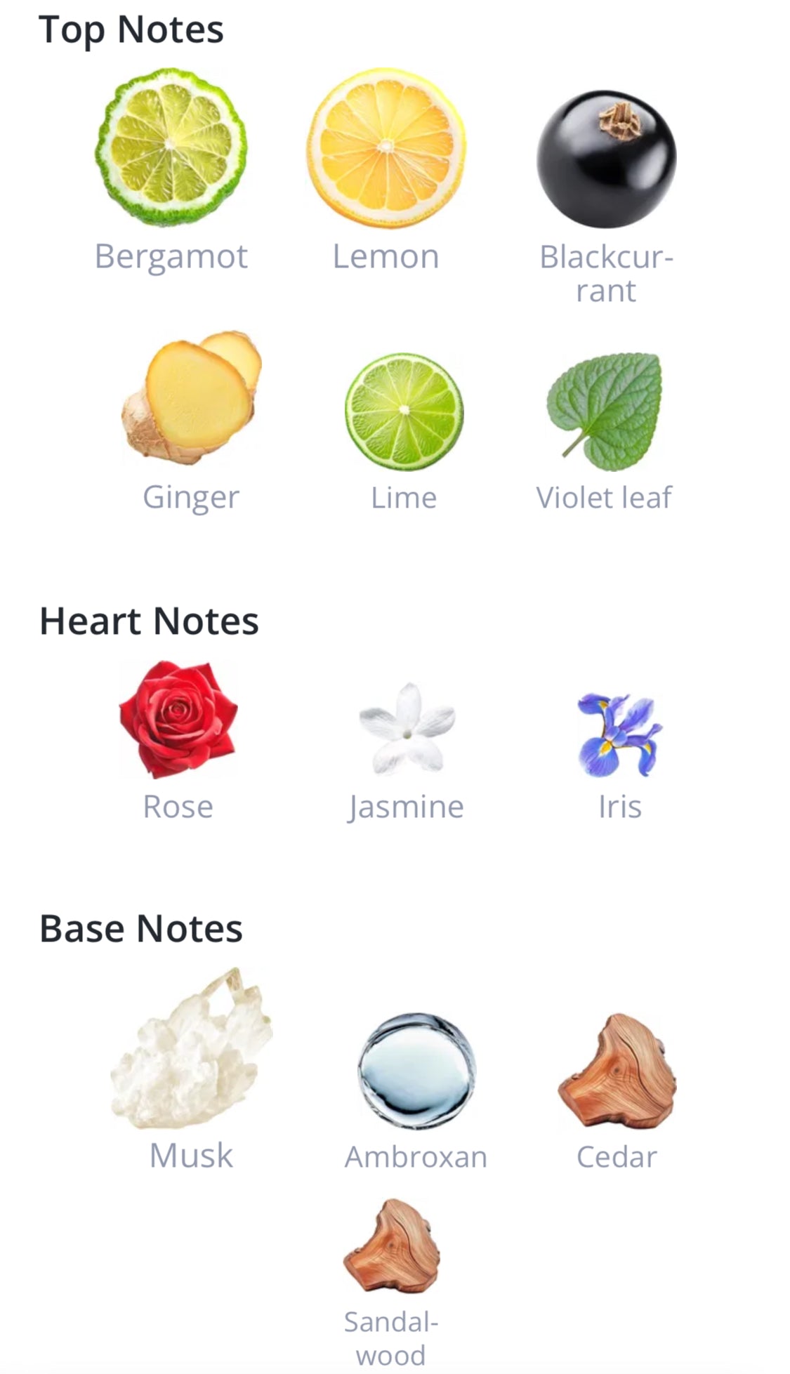 Club De Nuit Sillage - Armaf - 1ml Decant Spray Sample