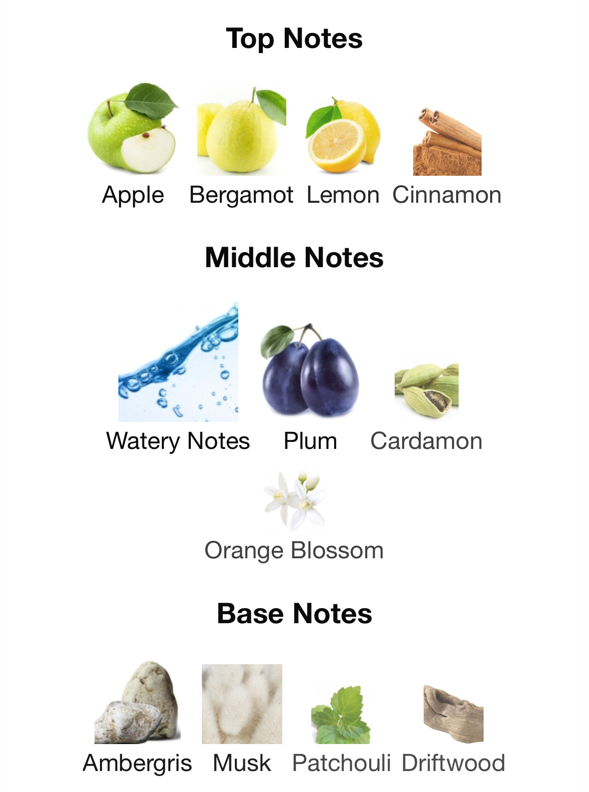 Hawas For Him - Rasasi - 1ml Decant Spray Sample